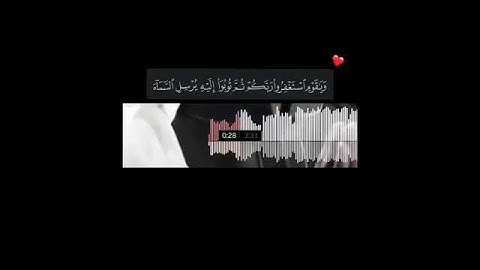 حالات واتس||القارئ/رعد الكردي||سورة/هود||تصاميم قران||انستقرام||استوري||مقاطع قصيرة