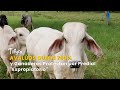 Avalúos Suben 700% y Ganaderos Protestan por Predial "Expropiatorio" - TvAgro por Juan Gonzalo Angel