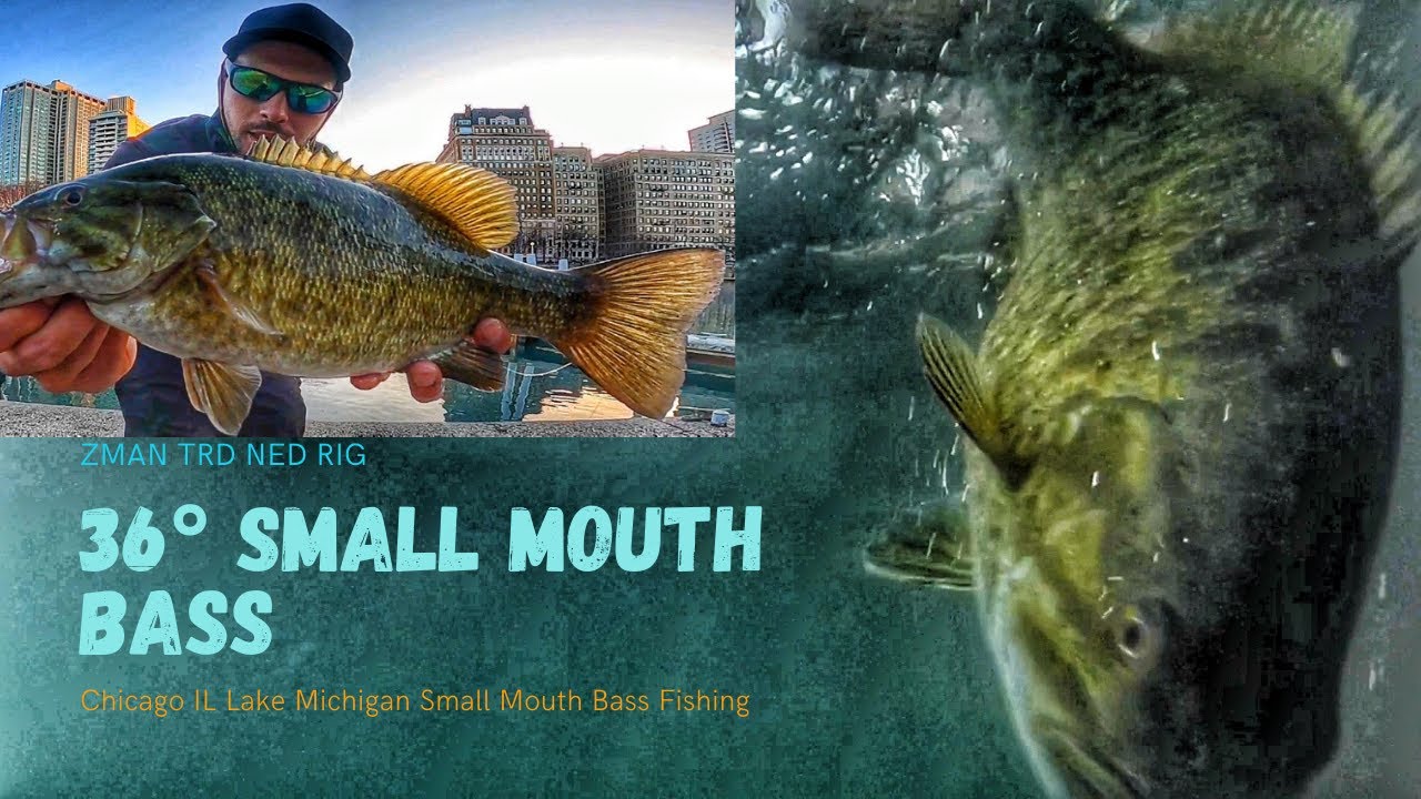 Catching SmallMouth Bass in 36° || Chicago Illinois Lake Michigan Finesse  GeoFishing ultra light 4lb - YouTube