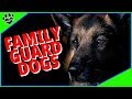 Best Family Guard Dog Breeds - Protecting Yet Loving