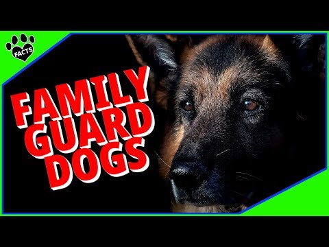 Video: Beste Familie Watchdog