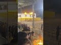 Dupla de Feira Grande Victor e Vinícius Barros #vaquejada #vaquejadabrasil #viral #viralvideo #fyp