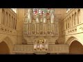 Orgue de la basilique notredame