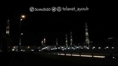 ما تيسر من سورة الحج صلاة التراويح في الحرم النبوي عام ١٤١١هـ/فضيلة الشيخ محمد أيوب رحمه الله تعالى