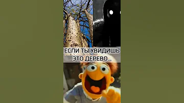ЕСЛИ УВИДИШЬ ЭТО ДЕРЕВО, ТО БЕГИ!