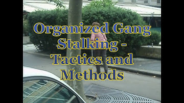 Organized Gang Stalking - Tactics and Methods
