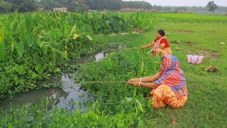 Fishing Video😱 || Traditional lady fishing in the village canal will amaze everyone | Best hook trap