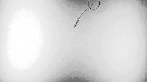 Pendulum Swing — Animation