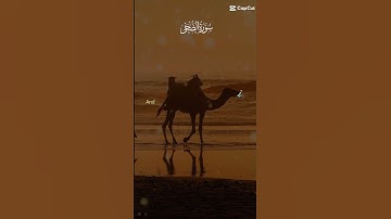 قرأن كريم، سورة الضحى