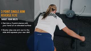 3 Point Single Arm Reverse Flye