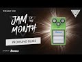 Jam Track Central Jam Of The Month February 2021 Prowling Blues - Roman Borisenko