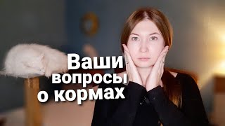 Вопросы про питание/корма для кошек