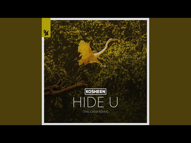 Hide U (Tinlicker Extended Remix)