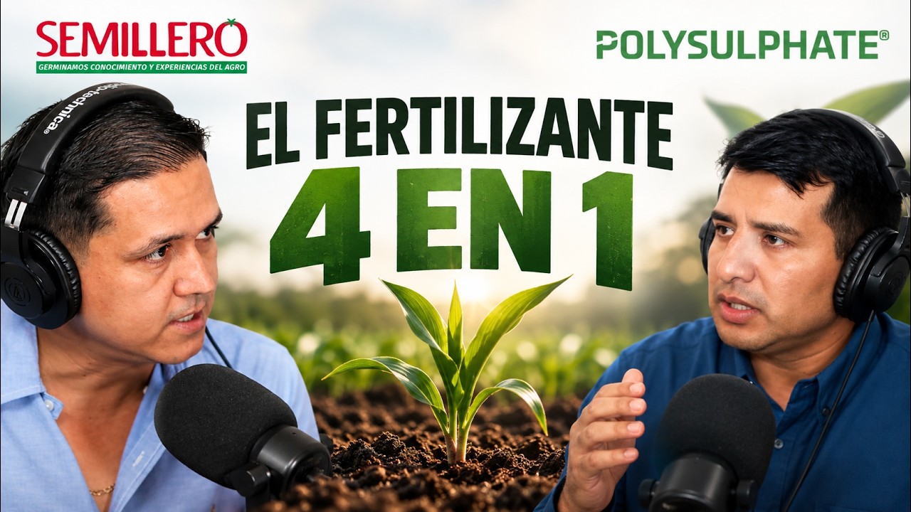 Polisulfato: el fertilizante 4 en 1 que está cambiando la nutrición de los cultivos | EP. 135