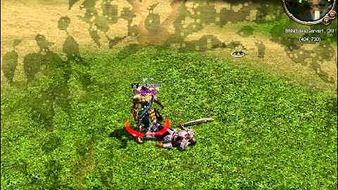 Metin2 - Bnn [DmG-Hacker]