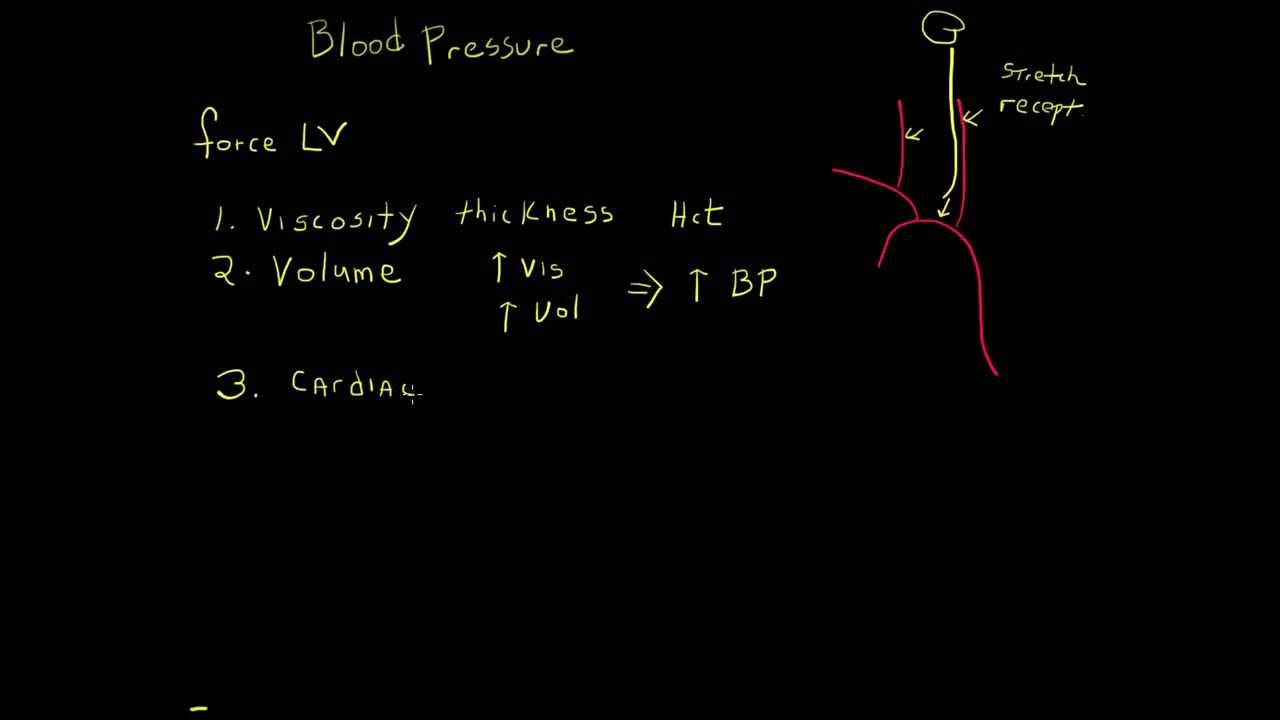 BP and Cardiac Control.mov