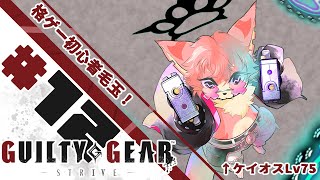 【ギルティギア】格ゲー初心者でもコンボ決めたい！🐾#12【ケモV】