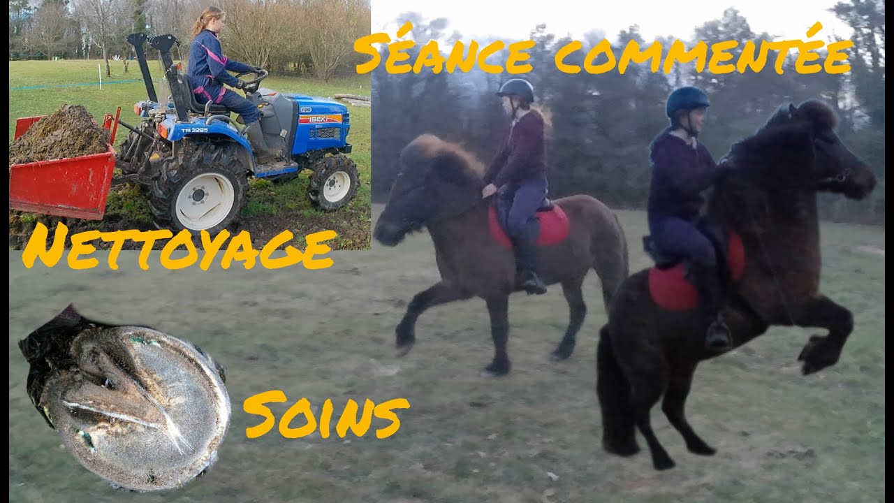 Une journée bien remplie : séance commentée, soins, vider le fumier...