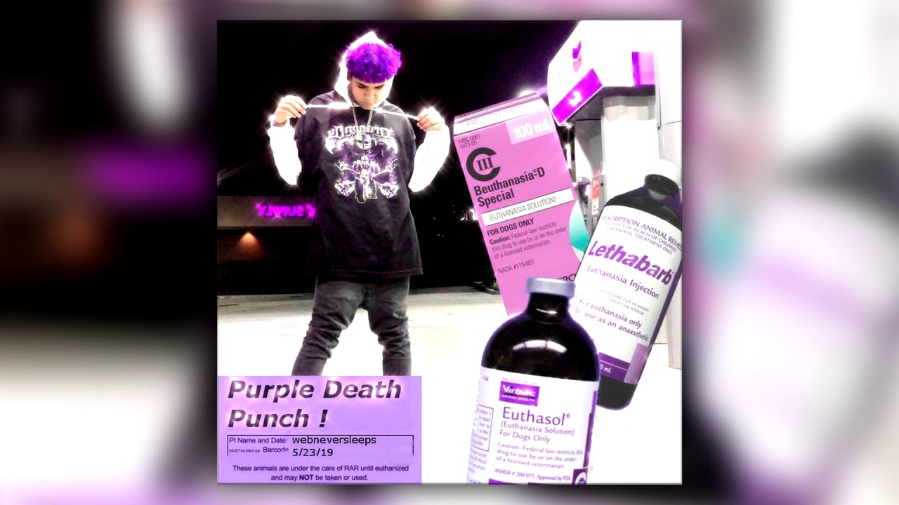 webneversleeps — P.D.P (prod. Maxokoolin)