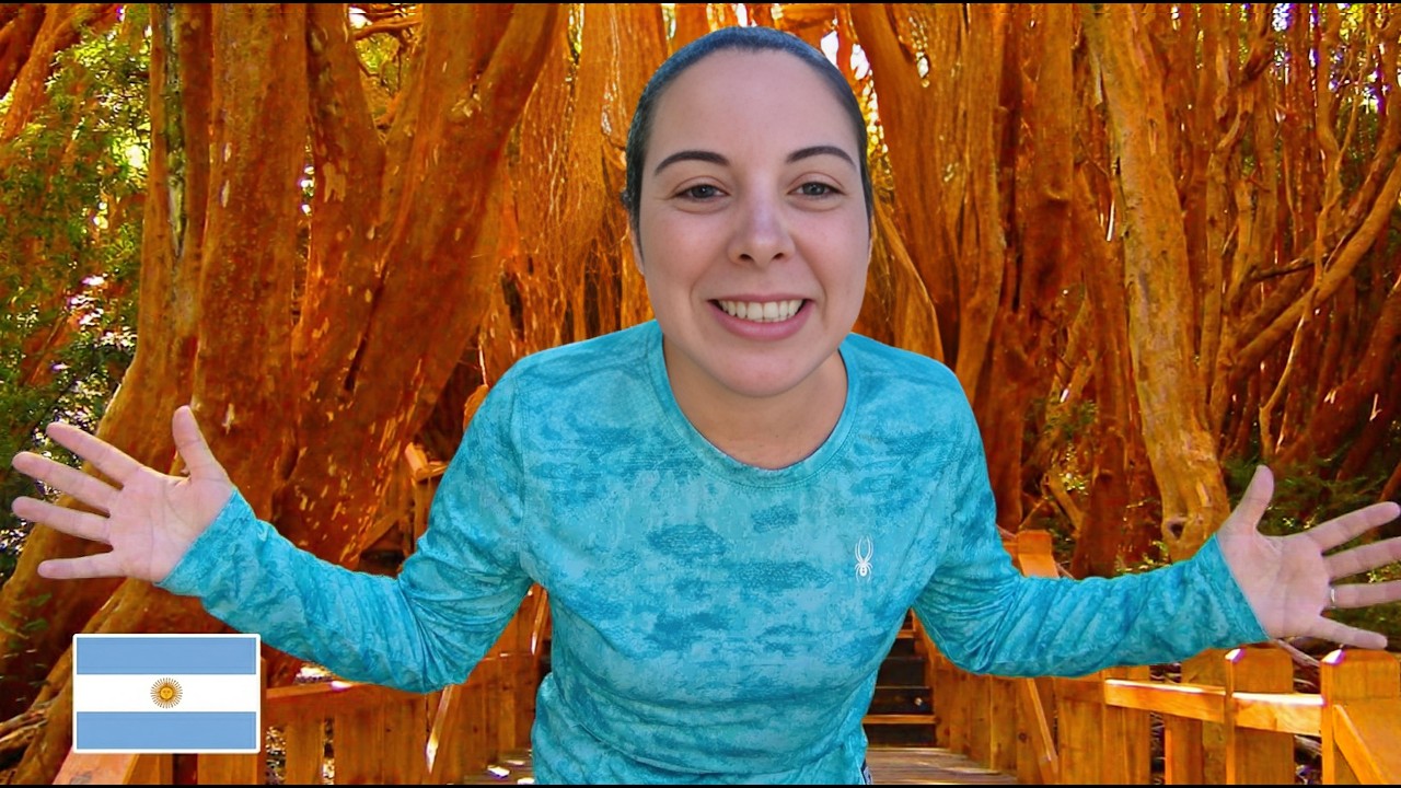 ✅ EL BOSQUE MÁS RARO DEL MUNDO ESTÁ EN LA PATAGONIA ARGENTINA 🇦🇷