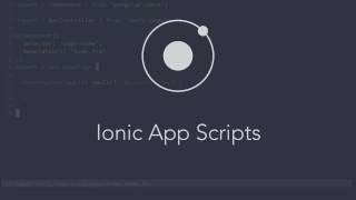 Ionic App Scripts Error Reports