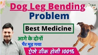 Dog leg Bending Treatment / Best Medicine Ramawat Dog care