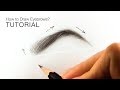 How to draw realistic eyebrows for BEGINNERS - EASY TUTORIAL