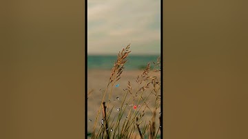 سورة الحج آية ٧٧ | ﴿ يا أيها الذين امنوا اركعو واسجدوا واعبدوا ربكم ﴾ | Surah Al Hajj Ayat 77
