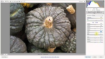 Double Processing In Camera Raw