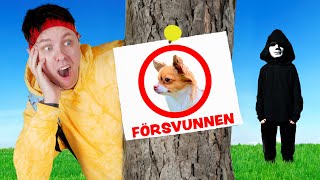 NÅGON STAL VÅR HUND