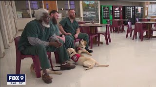 Inmates in Wisconsin play role in training service dogs