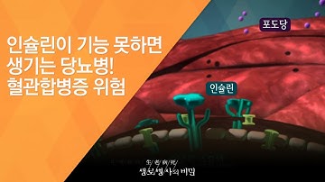 인슐린이 기능 못하면 생기는 당뇨병! 혈관합병증 위험 - (2016.12.14_604회 방송)_암보다 무서운 혈관병 당뇨합병증