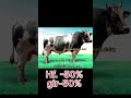 BAIF BULL DARWIN 50 Hf Or 50 Gir Cross mp3