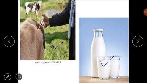 Class 4(S.S)- Lesson 1(Animals as a Resource) of block 18(Our Animal Wealth).