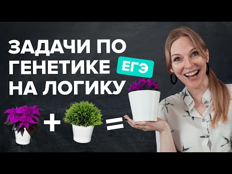 Задачи из №4 в ЕГЭ по генетике 2022 😉 Генетика ЕГЭ 2022 | Биология TutorOnline