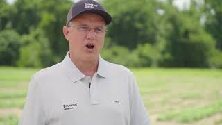 Enversa™ Herbicide Offers Superior Versatility Across Multiple Crops