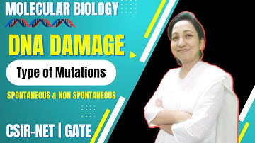 DNA Damage | Type of Mutations in DNA | DNA Damage and Repair CSIR NET | Molecular Biology CSIR NET