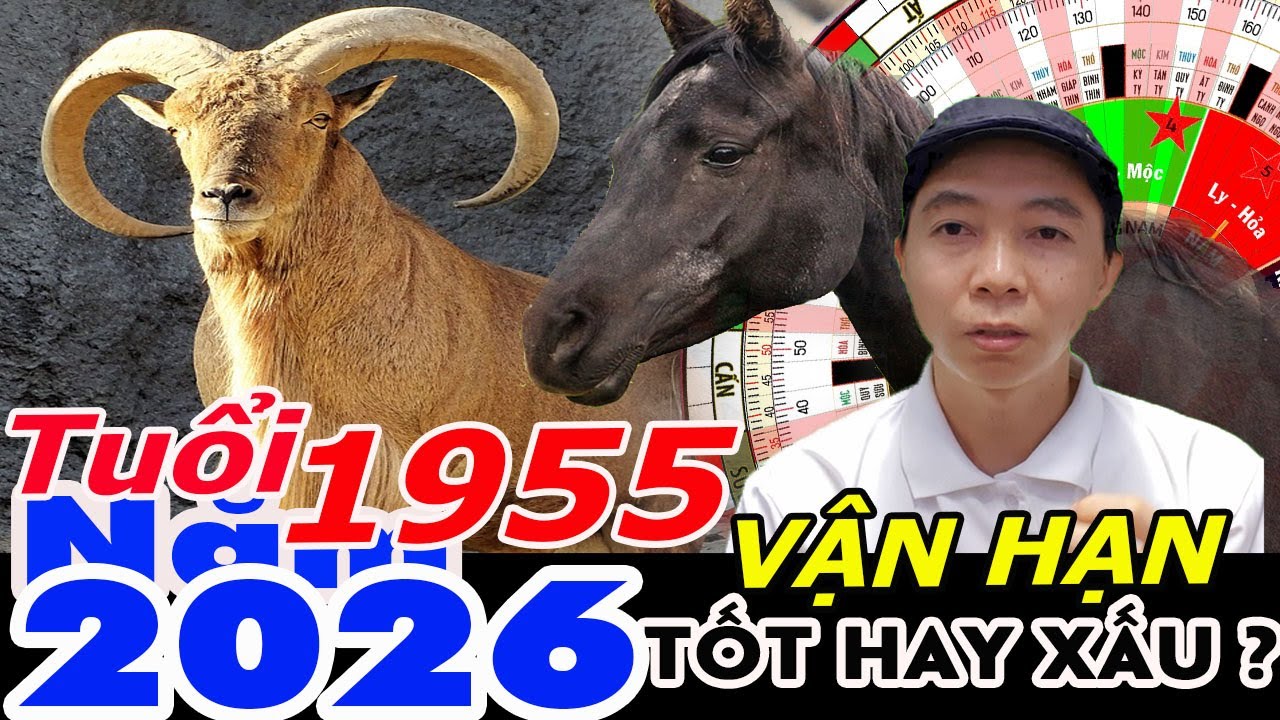 Xem Vận Hạn Tuổi Ất Mùi 1955 năm 2026 RA SAO ?  Phong Thủy 100 Năm