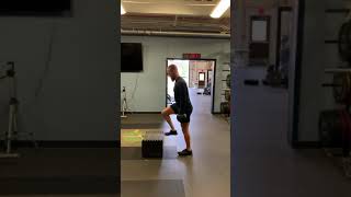 S.L. RDL   Step Up-Knee Drive