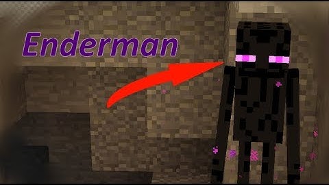 Những điều có thể bạn chưa biết về Enderman trong Minecraft.