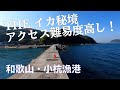 【釣り場動画#21】和歌山の秘境ポイント小杭漁港は雰囲気もアクセス難易度も最高の釣り場(エギング・ヤエン・キス釣り)