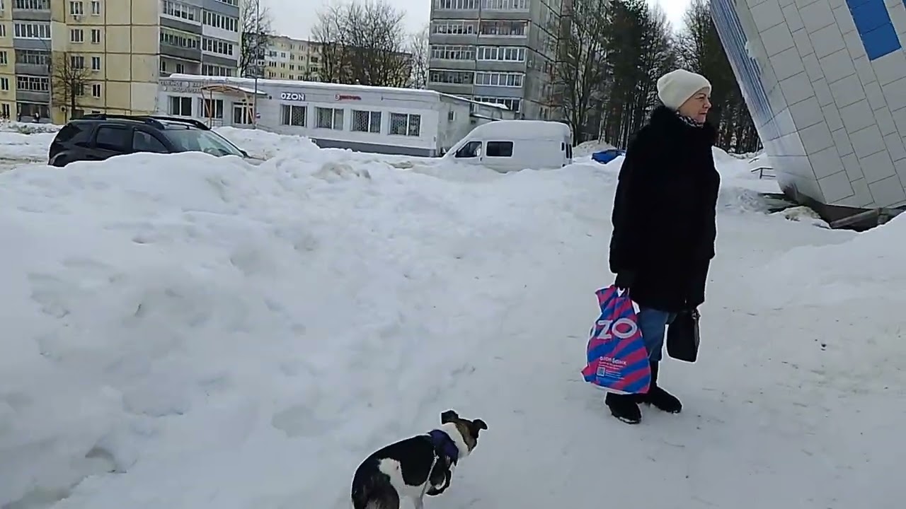 1 марта 2026 г.