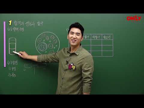 [중2과학] 혈액의 성분과 <strong>혈구</strong> - 온리원 김중렬 선생님