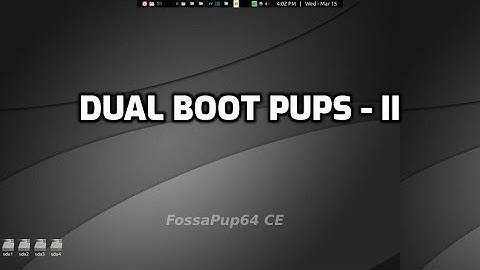 dualPupSetup2: setup of BookwormPup64 in dual boot