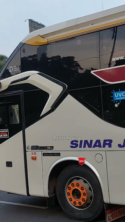SLEEPER ❗️PESONA BUS SINAR JAYA #shorts #feedshorts #bismania #shortvideo #sinarjaya