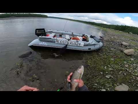 Рыбалка на р. Северная. Часть вторая. Fishing on the Severnaya River. Part Two