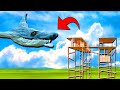 Aircraft shark vs 