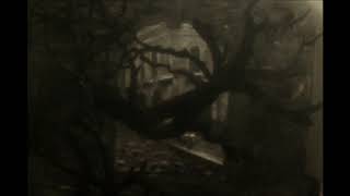 Multi-plane camera test compilation (College of Dupage Motion picture department 2008)