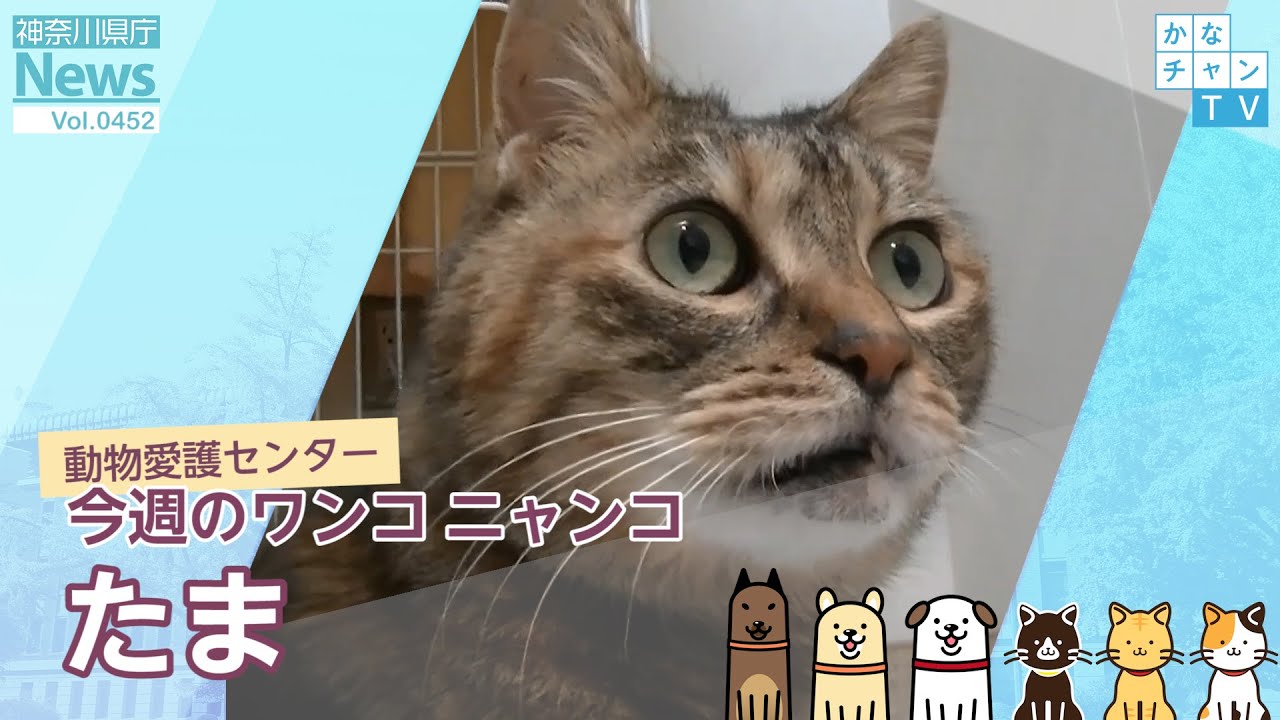 4ykjvpa5q Fshm