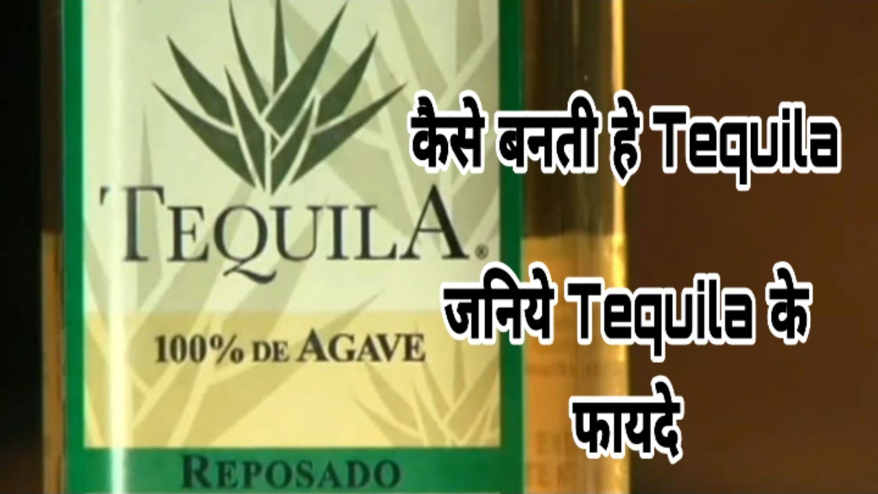 How Tequila is Made in Hindi DrinkBuddie YouTube